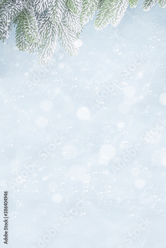 Christmas border. Holiday christmas tree garland on light blue snowy background. Christmas tree branches with snow. Festive Christmas banner or background. © ricka_kinamoto