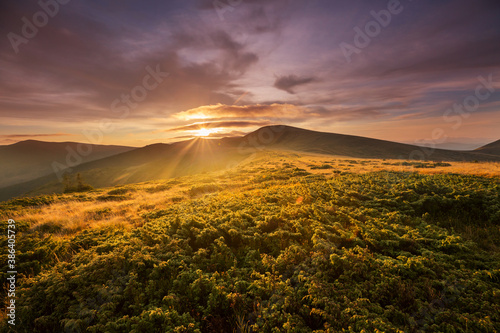 Carpathian mountains