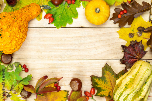 Autumn nature concept. Natural harvest with orange pumpkin, fall dried leaves, red berries and acorns, chestnuts on wooden background in shape frame. Beauty bright autumnal nature background.
