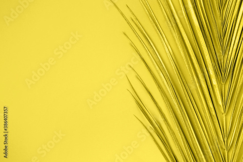 Closeup of golden palm leaf on yellow background. Tropical luxury minimal summer background. Flat lay. Copy space. 2021 color trend