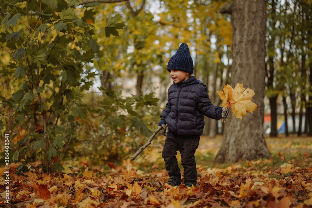 cute caucasian little boy walking in autumn park. holding a bunch of yellow fallen leaves in one hand and stick in another cute caucasian little boy walking in autumn park. holding a bunch of yellow fallen leaves in one hand and stick in another