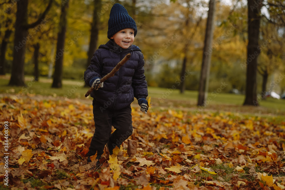 Cute little boy with happy smiling face wearing blue jacket and knit beanie running along autumn park with stick in hands. The ground is covered with yellow fallen leaves. Image with selective focus Cute little boy with happy smiling face wearing blue jacket and knit beanie running along autumn park with stick in hands. The ground is covered with yellow fallen leaves. Image with selective focus