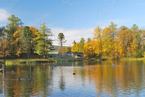 Autumn in the park