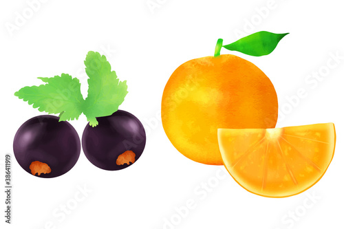 カシスオレンジ