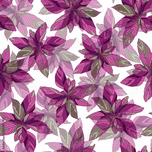 Amaranth pattern. Bright summer flower pattern. Purple. illustration. Botanical illustration