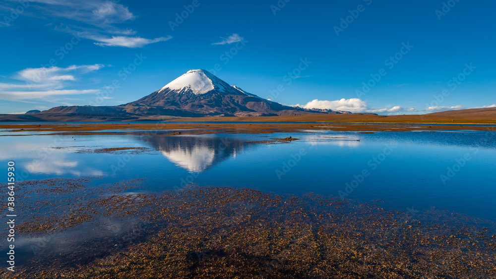 The volcano Parinacota reflects beautifully in Lago Chungara in Northern Chile
