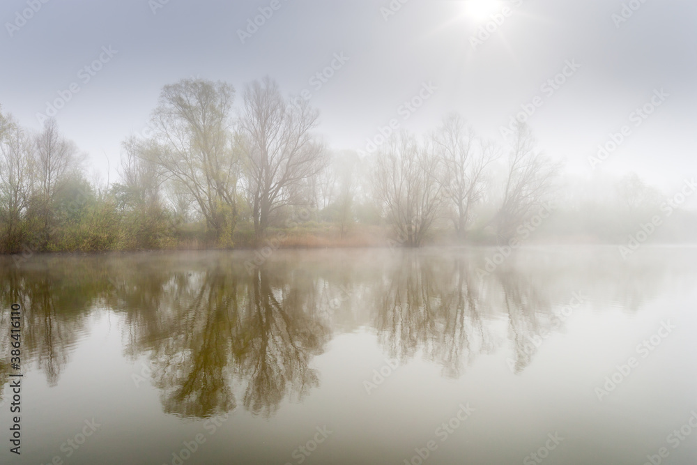 Foggy spring landscape with sun breaking through the mist and trees reflecting in a small lake in the floodplane of the river Rhine The Netherlands