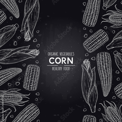 Vector chalkboard style frame with organic corn cobs