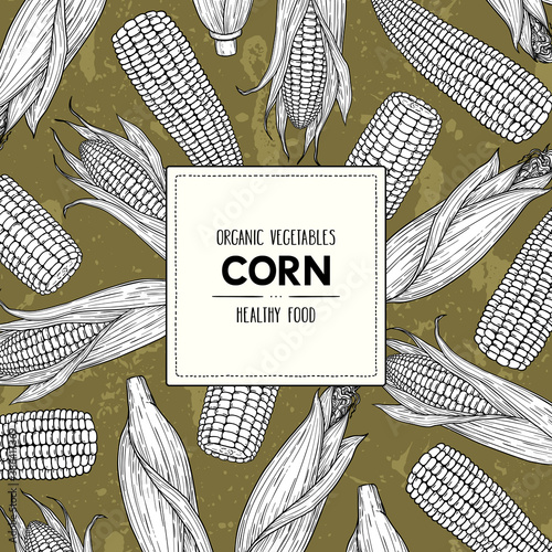 Vector hand drawn banner with organic corn cobs