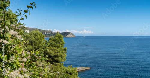 Wallpaper Mural View on blue waves thru tops in landscape park on the Black Sea coastline. Cypress trees, cedars and many rare and relict evergreens trees in the Aivazovsky park in Crimea, Partenit Torontodigital.ca