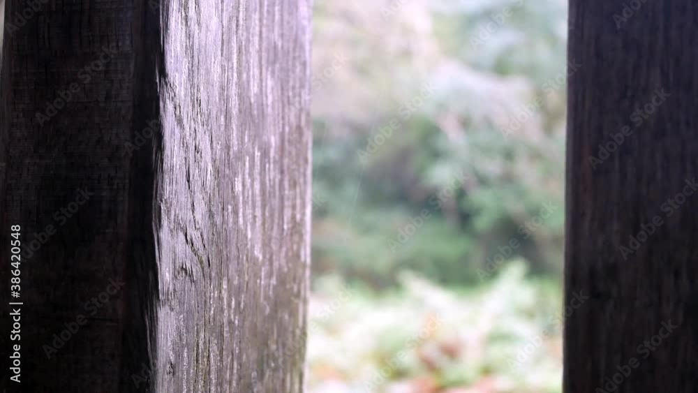Raining weather conditions in rural mountain countryside through rustic oak wood barn beams window Raining weather conditions in rural mountain countryside through rustic oak wood barn beams window