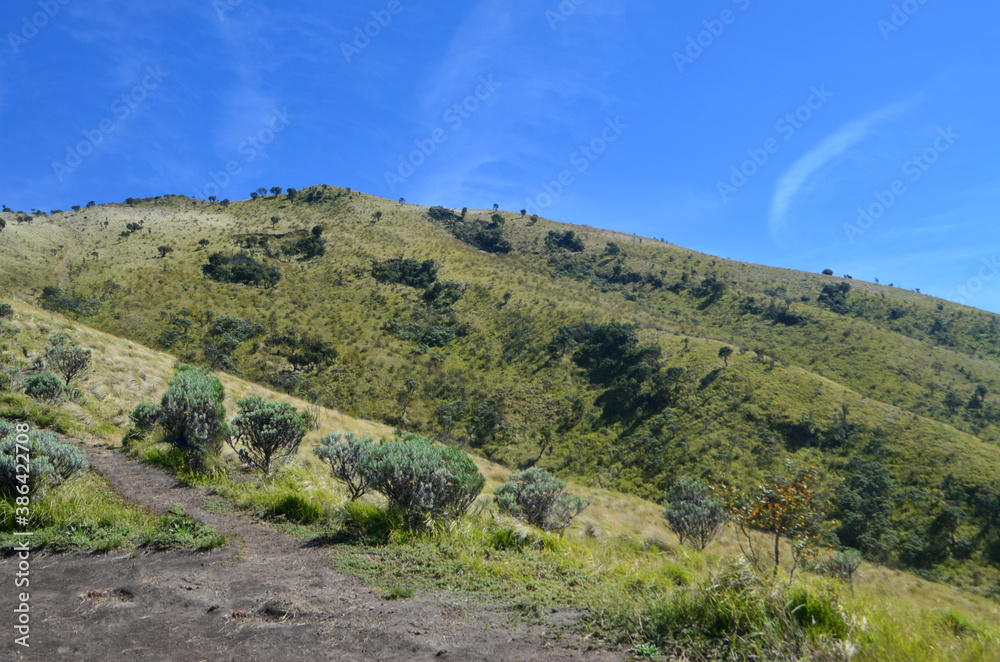 Fototapeta premium landscape in the mountains