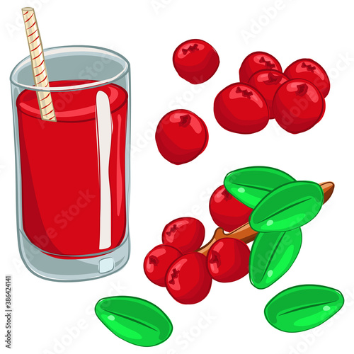 Cranberries berry, branch and juice vector cartoon set isolated on a white background.