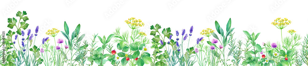ハーブガーデンの水彩イラスト 横方向のシームレスパターン Stock イラスト Adobe Stock