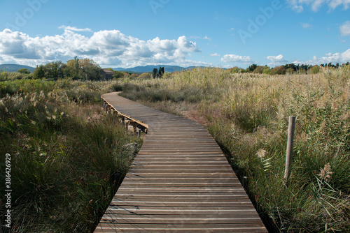 Etangs de Villepey ST-AGULF Var (83)