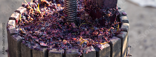Φωτογραφία Winepress with red must and helical screw