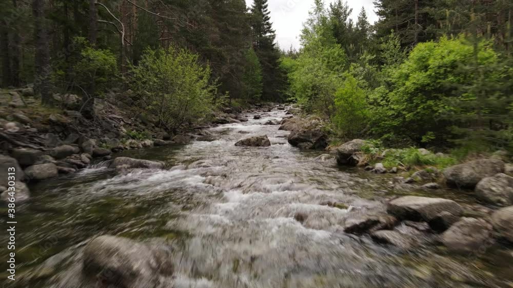 mountain river in the forest mountain river in the forest