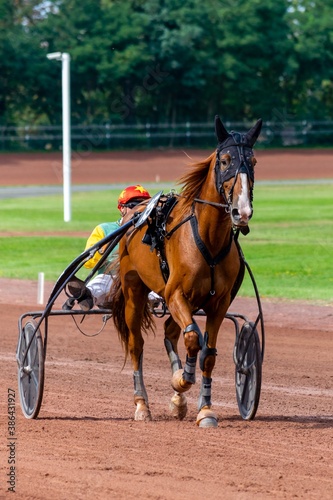 horse racing hippodrome of feurs