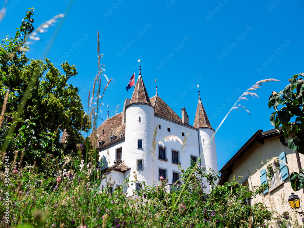 Front view of the Medieval castle of Nyon, Switzerland.  Vue de face du chateau de Nyon en Suisse, canton de Vaud. Photo prise en été avec des fleurs en premier plan.