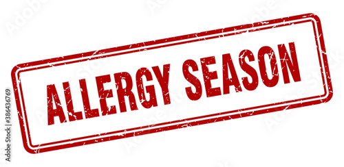 allergy season stamp. square grunge sign on white background