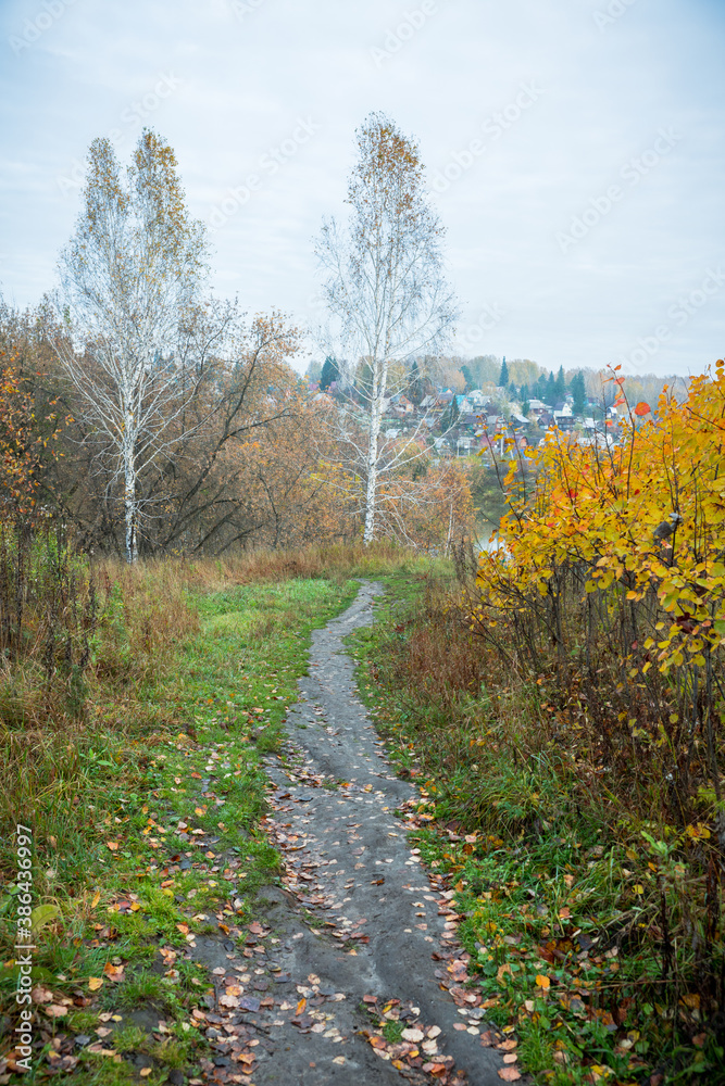 Road through the field in the cloudy autumn morning. Autumn landscape.
Road through the field in the cloudy autumn morning. Autumn landscape.