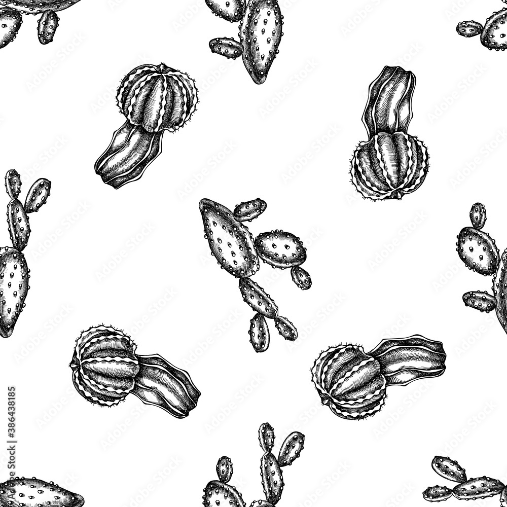 Seamless pattern with black and white cactus Seamless pattern with black and white cactus
