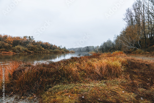 Autumn morning in rainy day with river and forest on the shores. Autumn landscape.