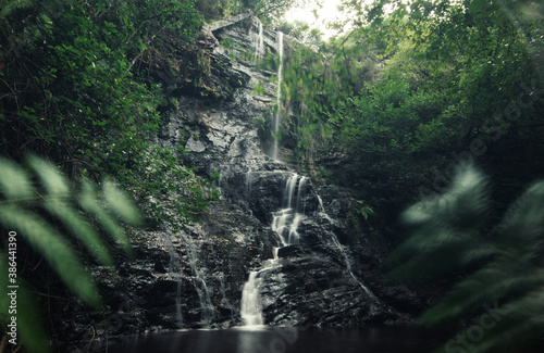 Fototapeta Naklejka Na Ścianę i Meble -  waterfall in jungle