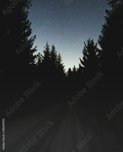 Nachthimmel über dem Schwarzwald mit klar sichtbaren Milchstraße