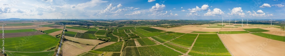 Bird's eye view of the vineyards near Ober-Flörsheim / Germany in Rhineland-Palatinate