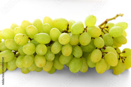 Sultana, white (pale green), oval seedless grape variety also called the sultanina, Thompson Seedless (United States), Lady de Coverly (England), and oval-fruited Kishmish (Iraq, Iran, Israel) photo