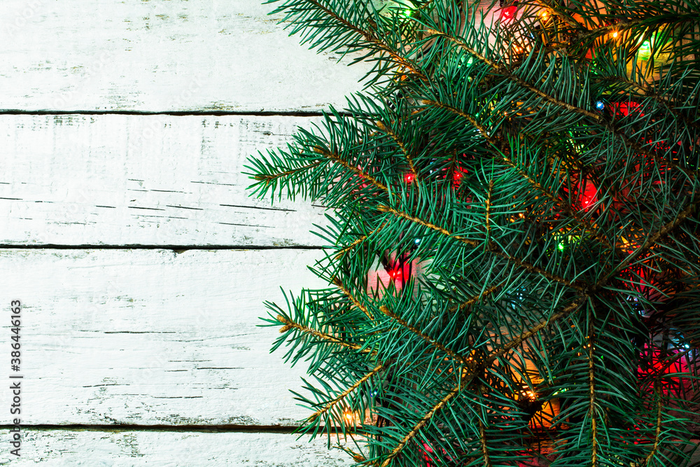 Branches of a blue spruce illuminated with colorful lights on a white background. Branches of a blue spruce illuminated with colorful lights on a white background.