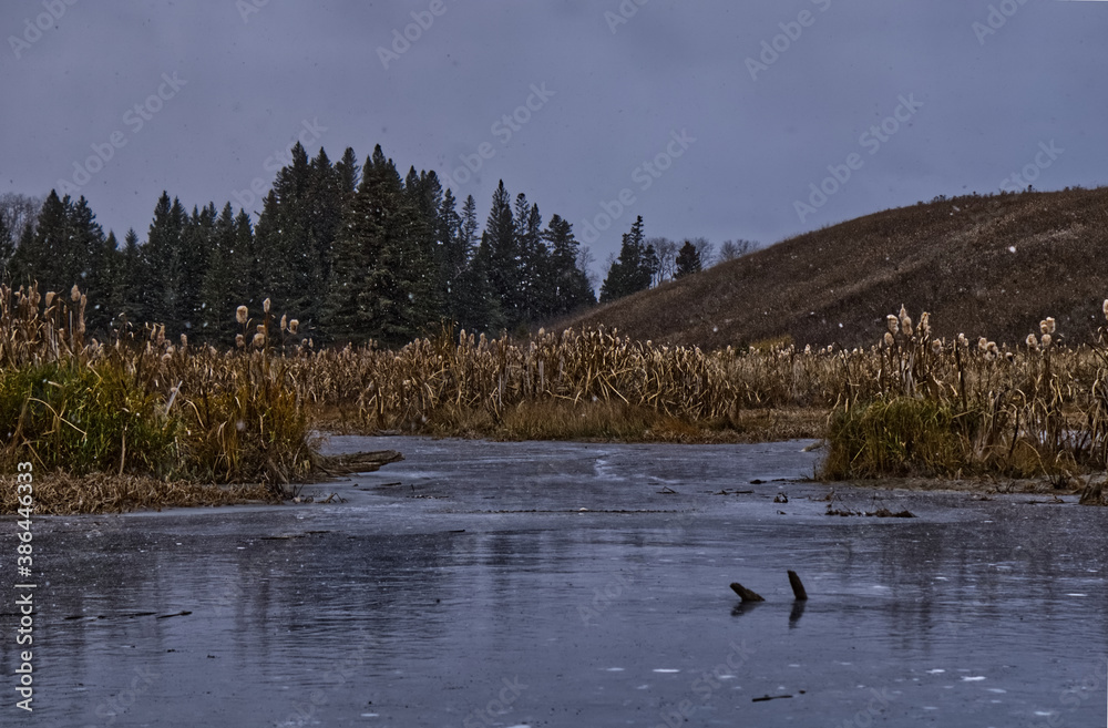 Naklejka premium Slew in the hills