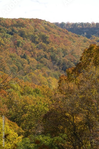 Fall colors in valley viewed from lookout in buzzard roost chillicothe ohio. Autumn leaves show various colors in ravine. Beautiful Ohio season change © Jordan