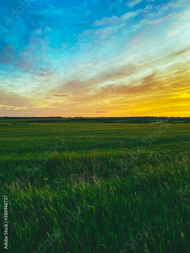 sunset over field