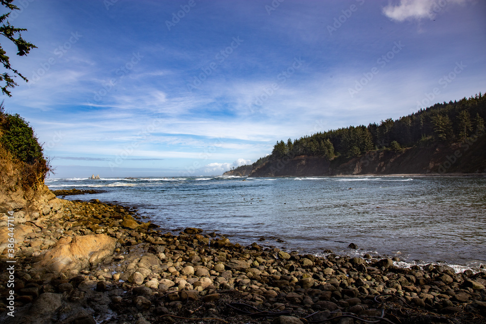 rocky coastline with waves and trees