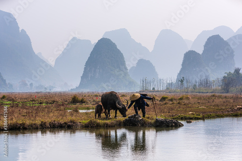 China's natural landscape. A farmer is plowing the land. Guilin's misty peaks.