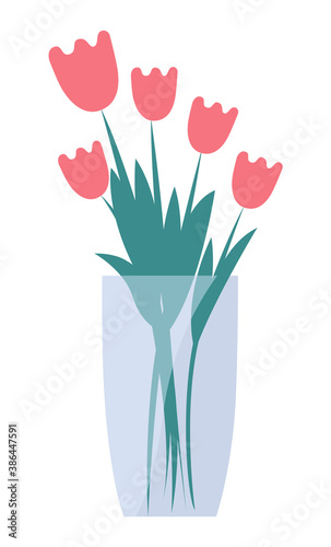Beautiful pink tulips flowers in vase. Bouquet of blooming garden flowers for interior decoration in a glass transparent vase vector illustration. Elegant spring season purple bouquet holiday gift