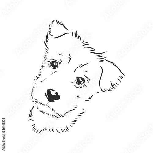 The old poor mangy dog look sad and lonely., mongrel, abandoned dog, vector sketch illustration