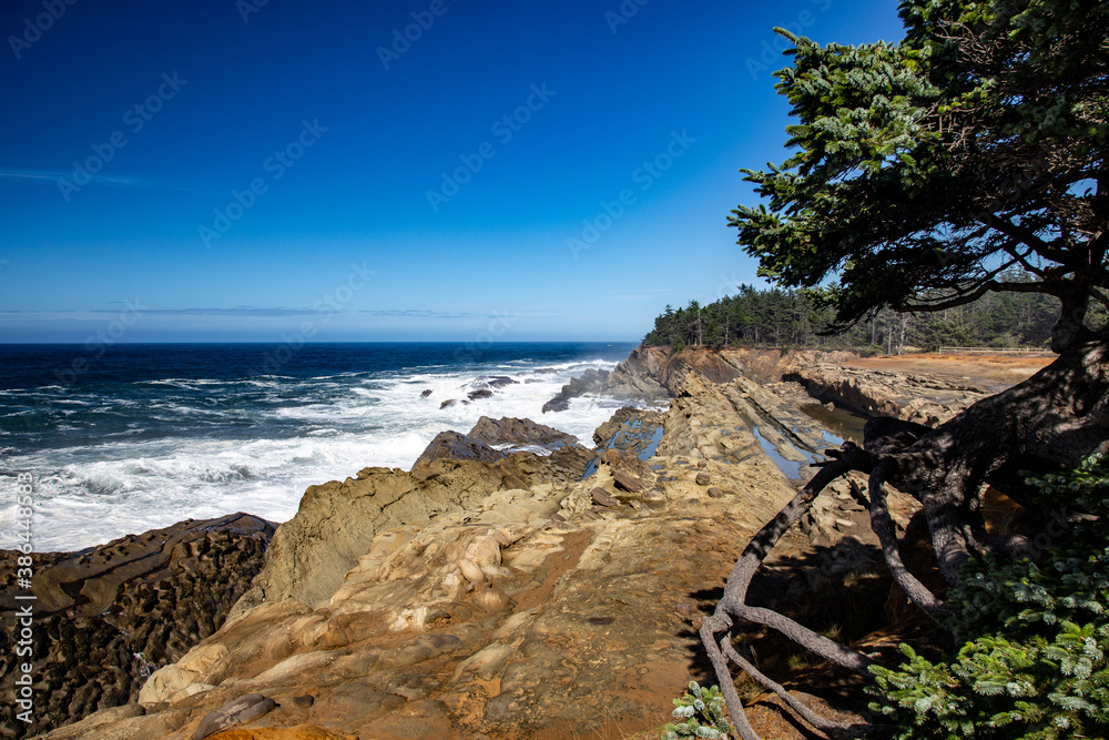 Fototapeta premium rocky coastline with waves and trees