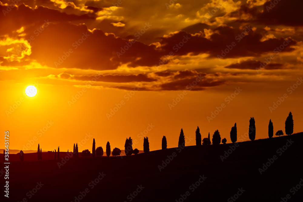 Cypress trees hill at sunset valley of Orcia in Siena province Tuscany region Italy landmark