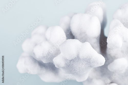 Fototapeta Naklejka Na Ścianę i Meble -  Coral reef with blue background macro cool tones for wallpaper