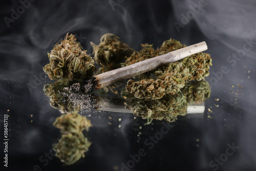 Cannabis branch and joint in the smoke on a black background. Marijuana legalization. Medical cannabis. Drug addiction.