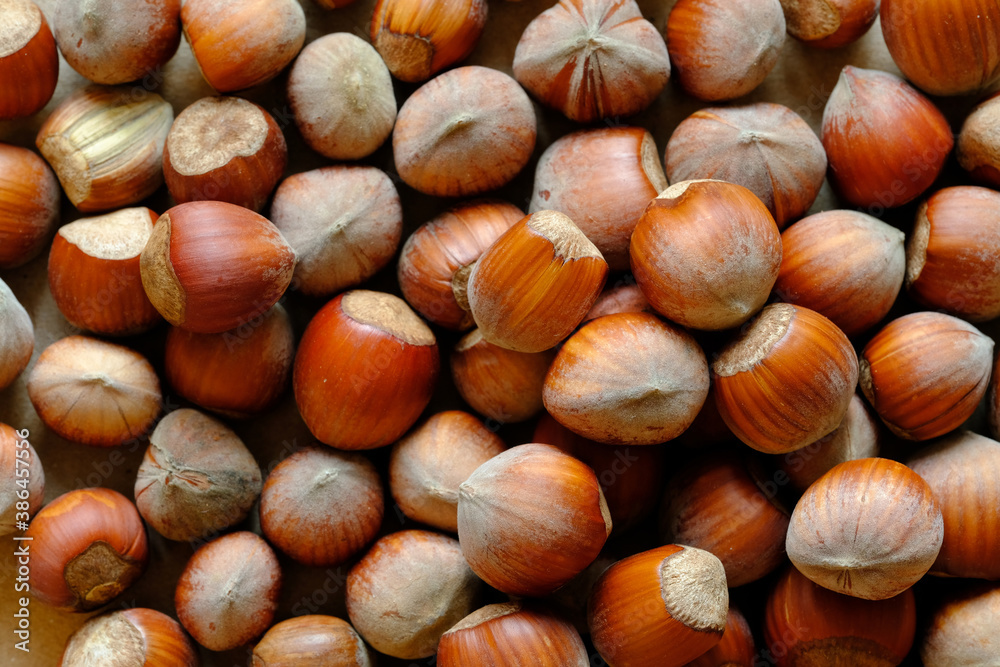 Macro shot of many Hazelnuts in nutshell. Concept of autumn harvesting. Natural and organic food full of vitamins. Seasonal vegetarian nutrition. Macro shot of many Hazelnuts in nutshell. Concept of autumn harvesting. Natural and organic food full of vitamins. Seasonal vegetarian nutrition.