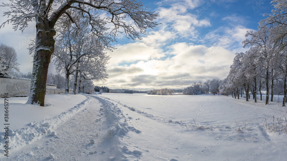 Obraz premium Rural road in a snow covered winter wonderland