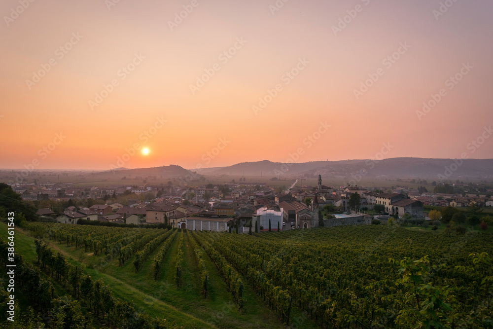 Vineyard in romantic sunset over the village of Soave in Italy, near Verona, famous for the wine