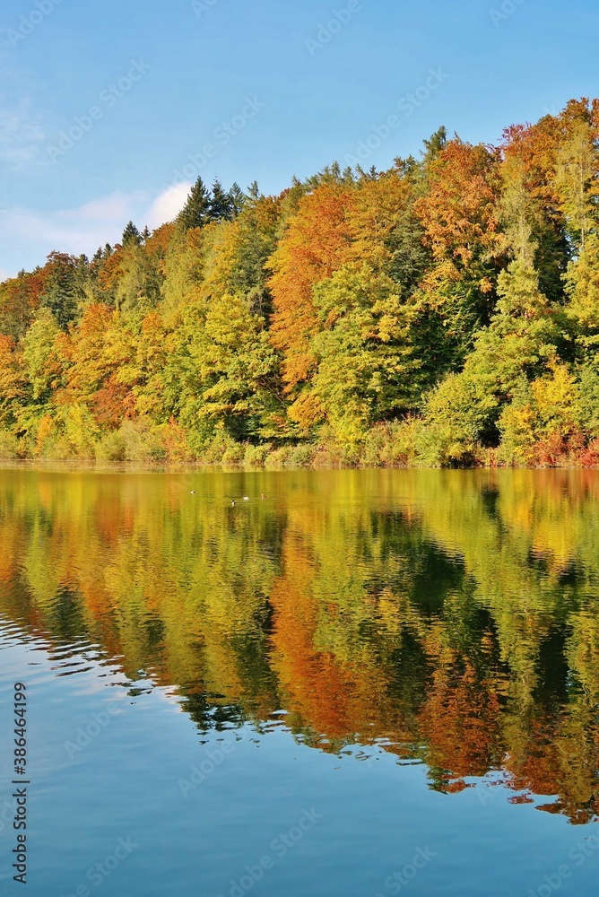 Herbst am Gübsensee, St. Gallen, Ostschweiz