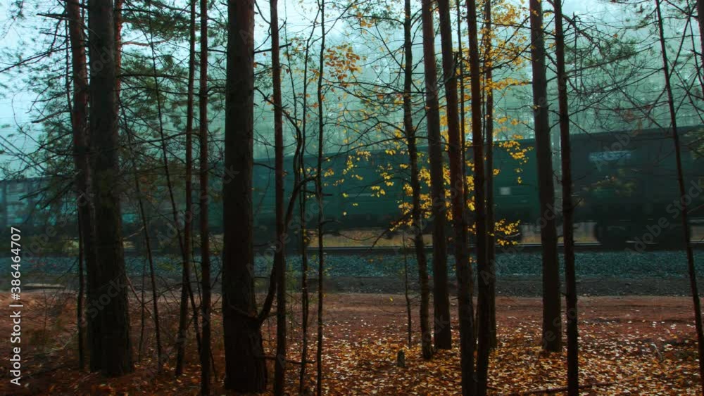 Train in the fog. A train goes through the forest. The video can be used in movies, reportage, as footage, in a music video. Train in the fog. A train goes through the forest. The video can be used in movies, reportage, as footage, in a music video.