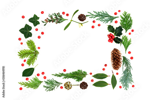 Fototapeta Naklejka Na Ścianę i Meble -  Traditional natural winter flora background border for Christmas & New Year flora with holly, loose berries, ivy, mistletoe, firs & pine cones on white. Eco friendly composition for the winter season.