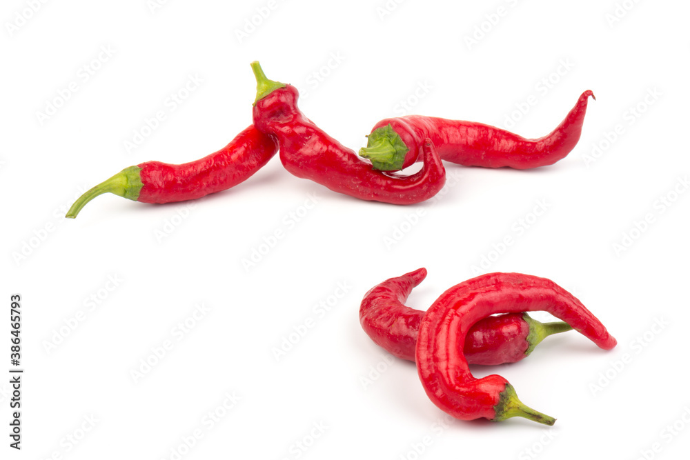 Red hot chili pepper isolated on white background. Close-up